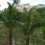 Casa Miranda